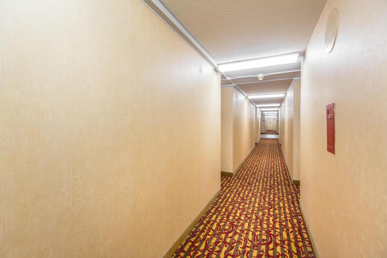 Appartement Toronto Furnished Living-Gerard Extérieur photo