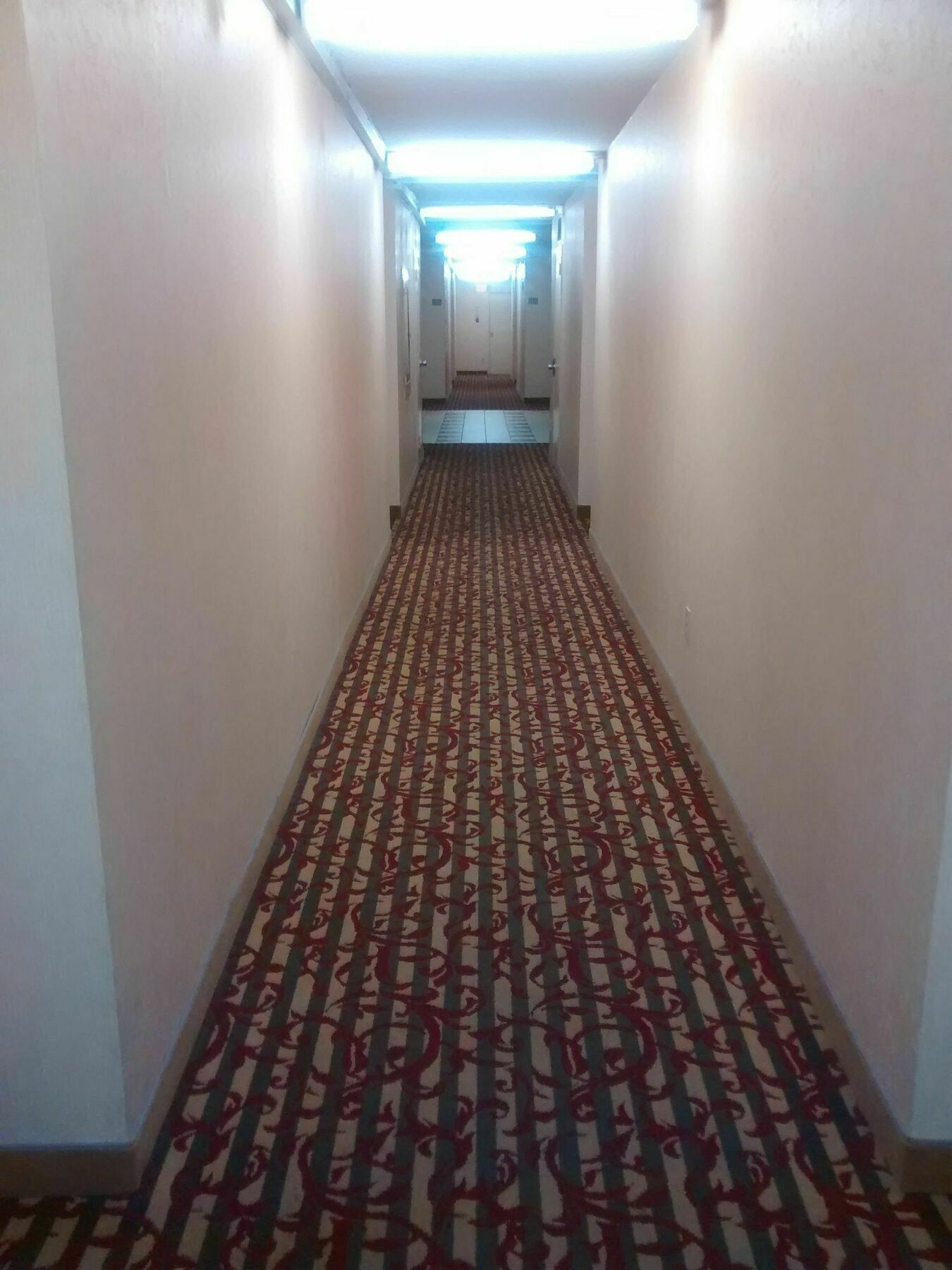 Appartement Toronto Furnished Living-Gerard Extérieur photo